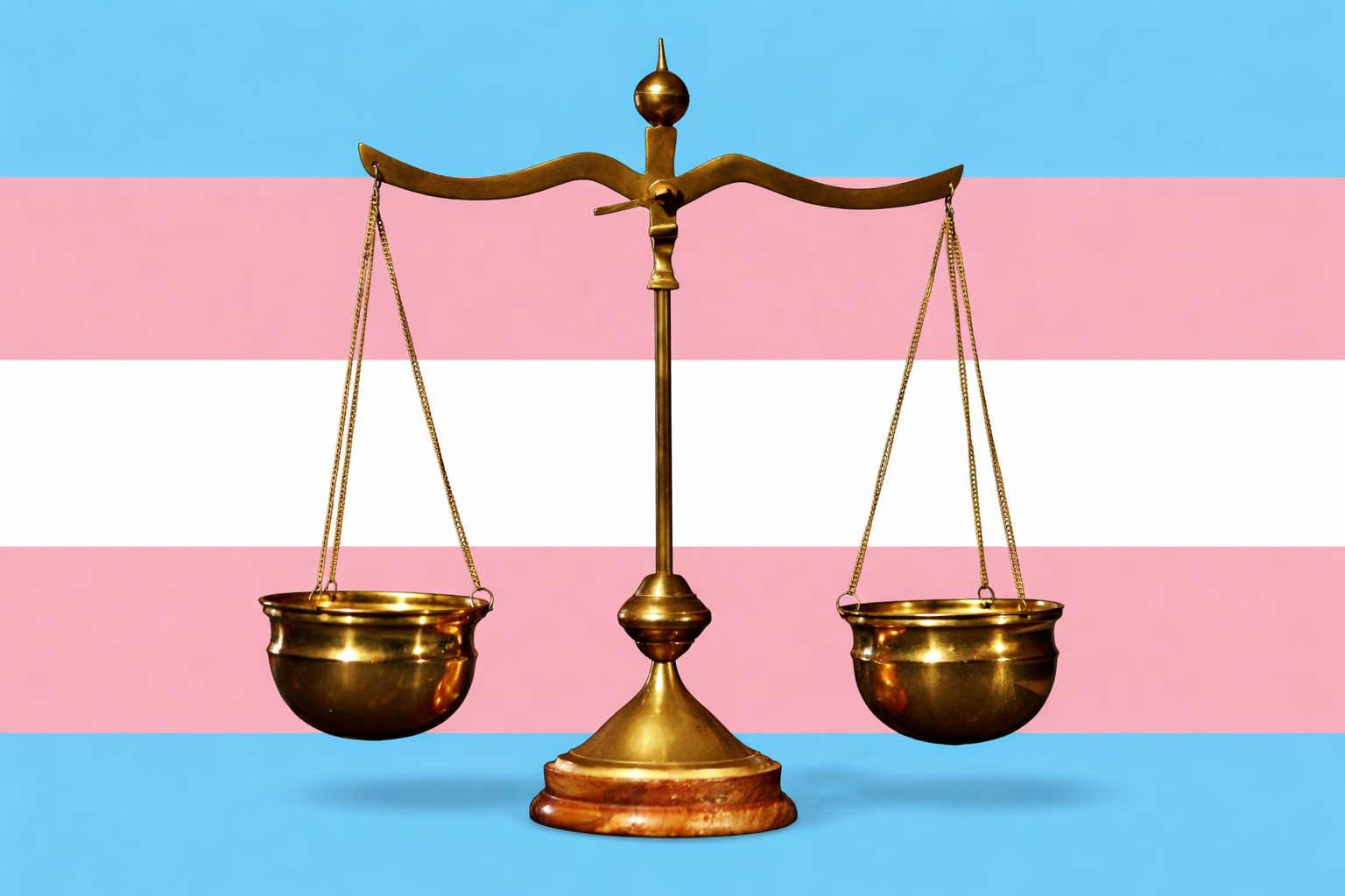 СЕС даде зелена светлина на ВКС да преодолее конституционното решение за биологичния пол